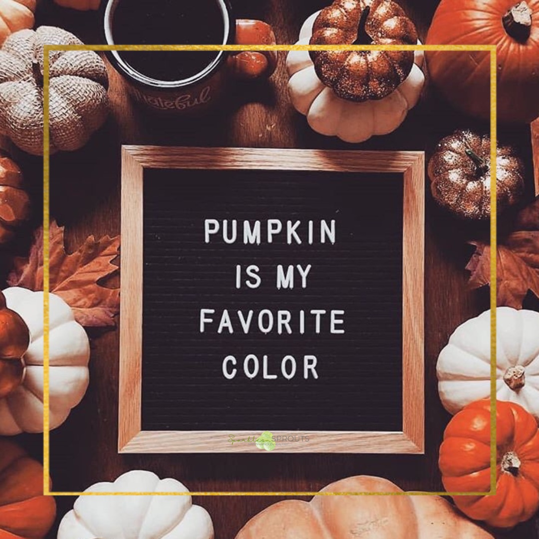 pumpkin-favorite-color