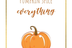 pumpkin-spice-everything