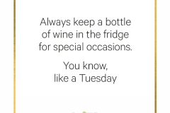 Copy of sometimes y - 1