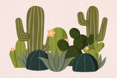 cactus