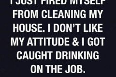 fired-self-from-cleaning