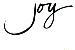 joy-script