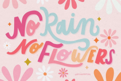 no-rain-no-flowers