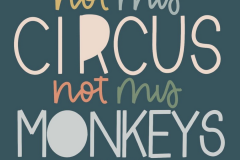 not-circus-not-monkey